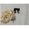 Image 2 : FRESHWATER PEARL NECKLACE & EARRINGS
