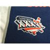 Image 2 : NEW ENGLAND PATRIOTS FELT BANNER