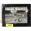 Image 1 : TRIS SPEAKER MATTED PHOTO