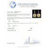 Image 6 : 18KT Two-Tone Gold 7.13ctw Diamond Earrings