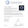 Image 6 : 14KT White Gold GIA Certified 8.26ct Tanzanite and Diamond Ring
