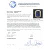 Image 6 : 14KT Yellow Gold 21.70ct GIA Cert Tanzanite and Diamond Ring