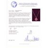 Image 6 : 14KT Yellow Gold 34.26ctw Ruby & Diamond Pendant with Chain