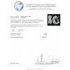 Image 6 : 14KT White Gold 1.27ctw Diamond Earrings