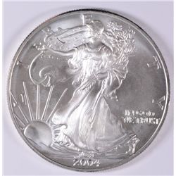 2004 AMERICAN SILVER EAGLE COLORIZED ON REVERSE,