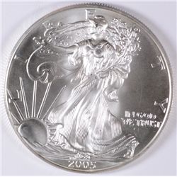 2005 AMERICAN SILVER EAGLE COLORIZED ON REVERSE,