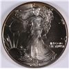 Image 1 : 1989 SILVER AMERICAN EAGLE