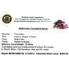 Image 2 : APP: 3k 25.00CT Multi-Color Tourmaline Parcel