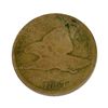 Image 1 : 1857 Flying Eagle Cent Coin