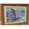 Image 1 : FRAMED PICTURE - LOOKS LIKE UCLUELET