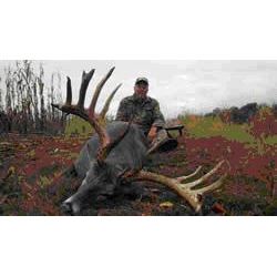 Kansas Whitetail Hunt