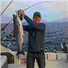 Image 1 : Michigan Salmon Fishing Trip