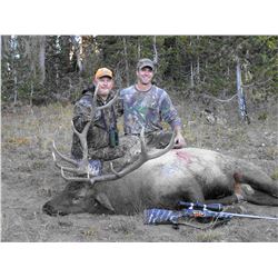 Wyoming 5- Day Bull Elk Hunt for 1 Hunter