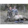 Image 1 : Wyoming 5- Day Bull Elk Hunt for 1 Hunter
