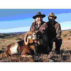 Spain Deer/Boar Hunt