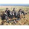 Image 1 : Michigan Goose Hunt
