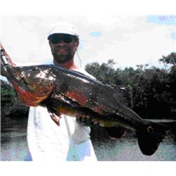 Amazon Peacock Bass Fishing Trip