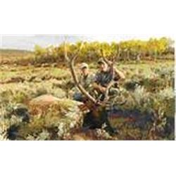 Wyoming Archery Elk Hunt