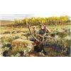 Image 1 : Wyoming Archery Elk Hunt