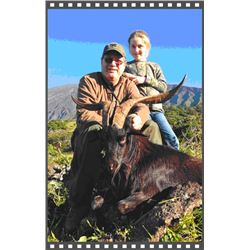 Trophy "Hawaiian" Feral Goat Hunt