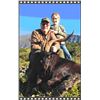 Image 1 : Trophy "Hawaiian" Feral Goat Hunt