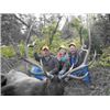 Image 1 : Colorado Elk Hunt