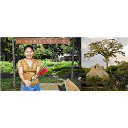 Belize Jungle Adventure for 4 Guests