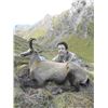 Image 1 : New Zealand Hunt