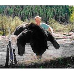 Montana Black Bear and Turkey Hunt