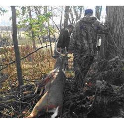 Ohio Whitetail Management Hunt