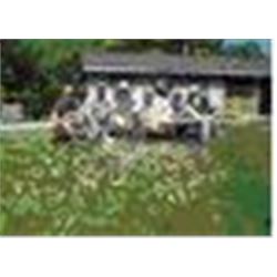 Briarwood Fishing Trip for up to 8 anglers