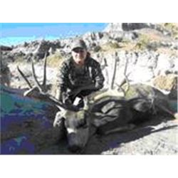 New Mexico Mule Deer Hunt