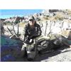 Image 1 : New Mexico Mule Deer Hunt