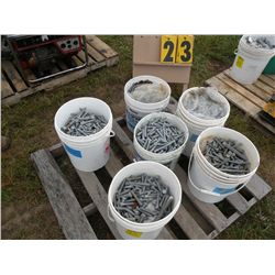 [6] pails of galvanized lag screws