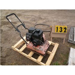 Plate compactor w/Briggs & Stratton motor