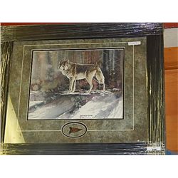 FRAMED PRINT "THE STAR DOWN - DANE BATHOLET - RETAIL APPROX. $300