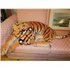Image 1 : LARGE TIGER STUFFY