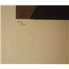 Image 2 : Ledan "Amalfi Coast Liquidated" Hand Signed