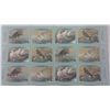 Image 2 : Sheet of 20 Collector Bird Stamps