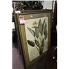 Image 1 : LARGE FRAMED PICTURE "PLANT"