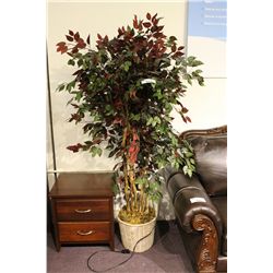 LARGE EVERGREEN TREE