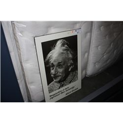 ALBERT EINSTEIN PRINT ON BOARD