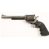 Image 2 : Ruger Super Blackhawk Cal .44 Mag SN:82-21603
