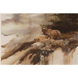 Limited Edition Print titled "Cabin Creek Boss"