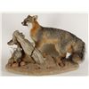 Image 1 : Grey Fox Mount