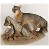 Image 2 : Grey Fox Mount