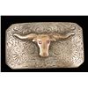 Image 1 : Small Western Buckle with Longhorn Steer