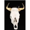 Image 1 : Handcrafted Southwest Steer Head Skull Mount.