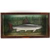 Image 1 : Carved Fish Shadow Box