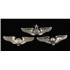 Image 1 : (3) USAAF WWII Army Air Corps Wing Grouping